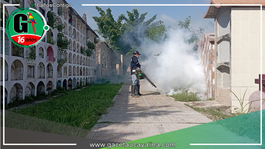 Fumigación coordinada de la Municipalidad Provincial y DIRESA para combatir al Aedes aegypti