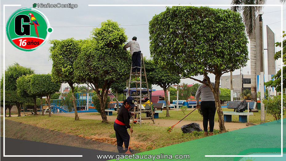 Personal municipal embellece la Plaza Arica bajo la dirección del alcalde Roger Galán Torres