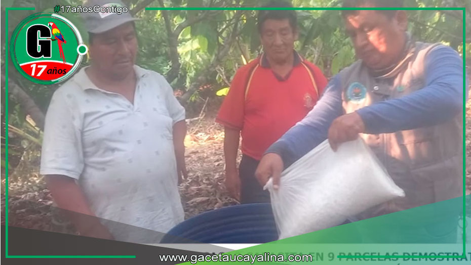 Proyecto Cacao impulsa técnicas sostenibles en Campo Verde