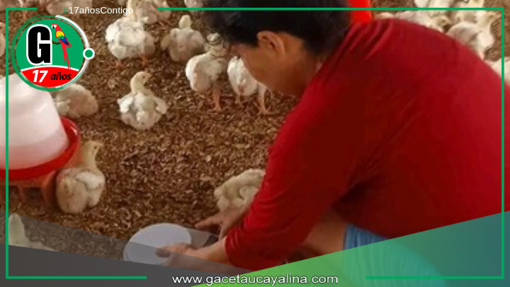 Mejoramiento de Servicios Agropecuarios en Campo Verde, un Modelo de Éxito.