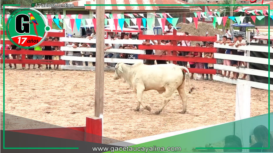 Sepahua brilla con rodeo y juzgamiento Brahman
