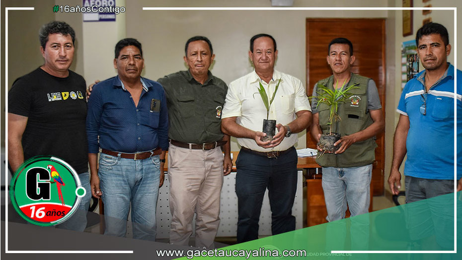 Alcalde de Atalaya y Organizaciones Presentan Proyecto de Aprovechamiento Forestal