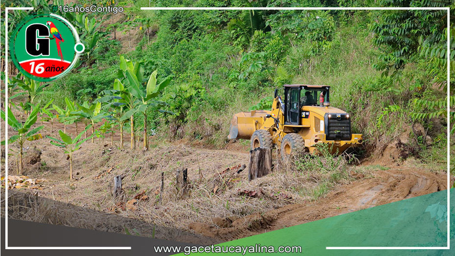 Municipalidad de Irazola Realiza Mantenimiento Vial en Sector Shansho