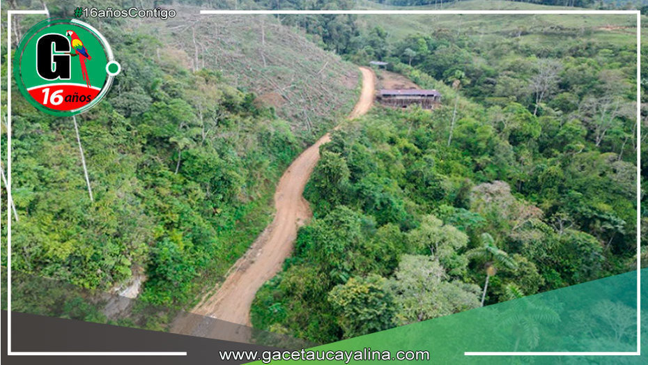 Gobierno Regional de Pasco inicia construcción de carretera en Puerto Bermúdez