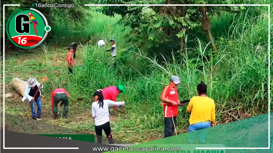 Municipalidad Provincial de Ucayali emprende labores de limpieza y desbroce en la quebrada Maquia