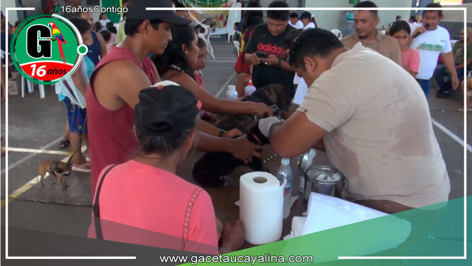 Exitosa Campaña de Desparasitación en Padre Abad Promueve la Tenencia Responsable