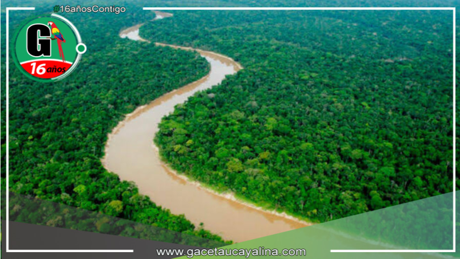 Congreso aprueba creación de la Autoridad Multisectorial de la Cuenca del río Putumayo