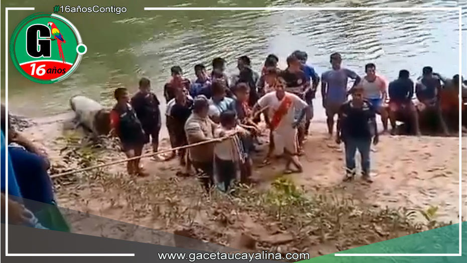 Indígenas Awajún Bloquean Río Cotamanas para Frenar Minería Ilegal