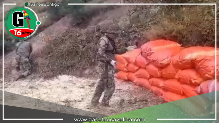 Huánuco: Decomisan más de 5 toneladas de Marihuana
