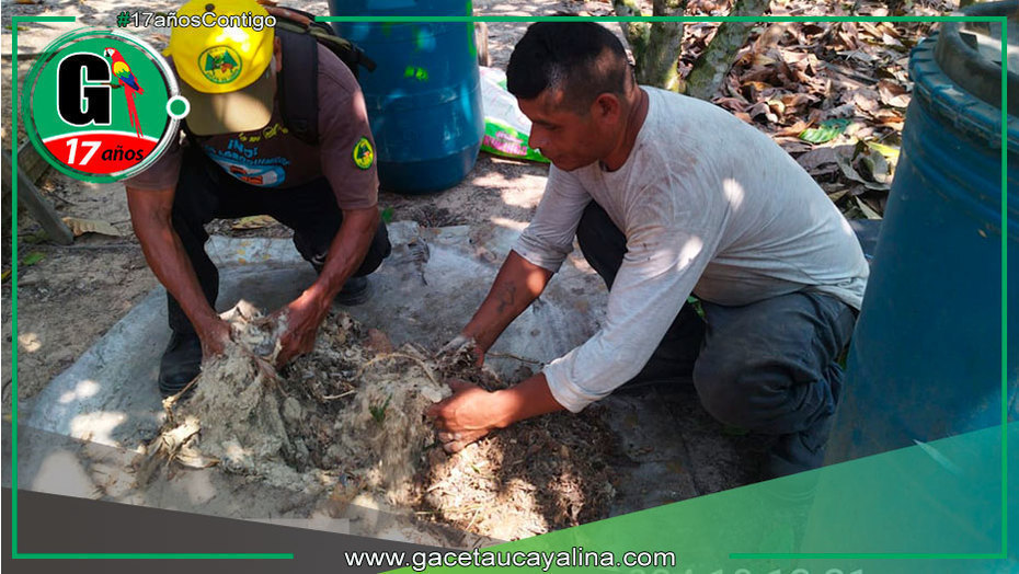 Capacitan a productores de cacao en Campo Verde, en técnicas orgánicas en jornada de campo