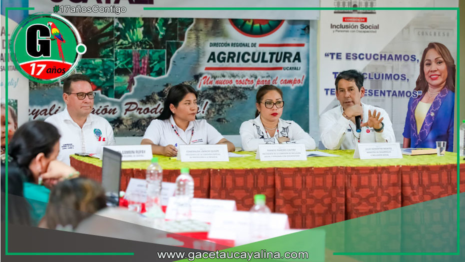 Reducen anemia infantil en Ucayali con apoyo estatal y local