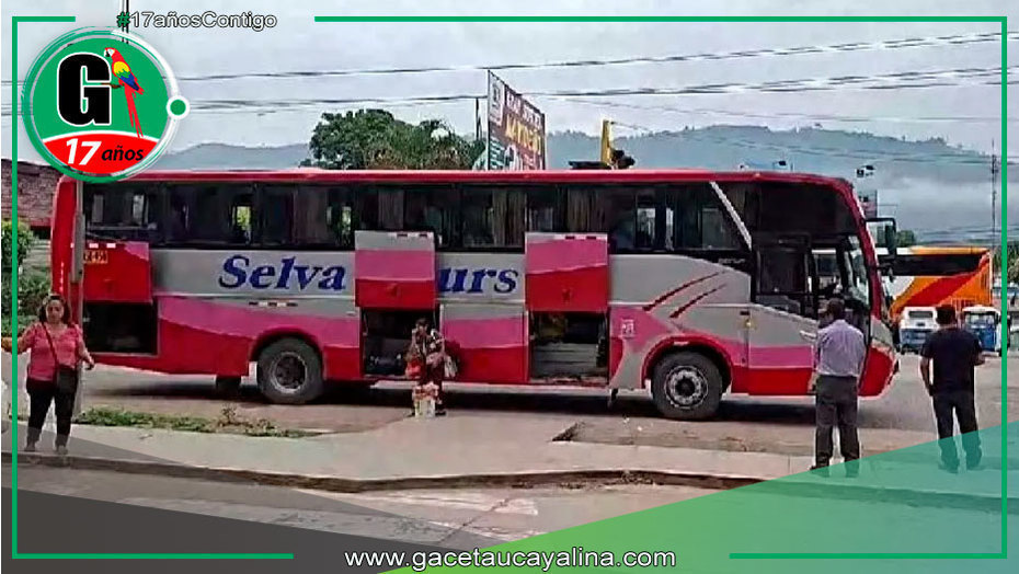 Delincuentes asaltan bus interprovincial en Junín sin heridos
