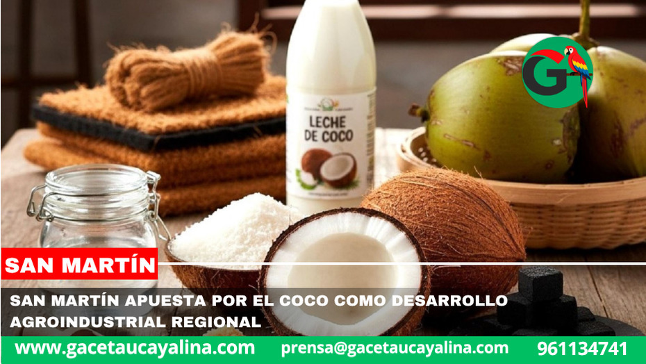 San Martín apuesta por el coco como desarrollo agroindustrial regional