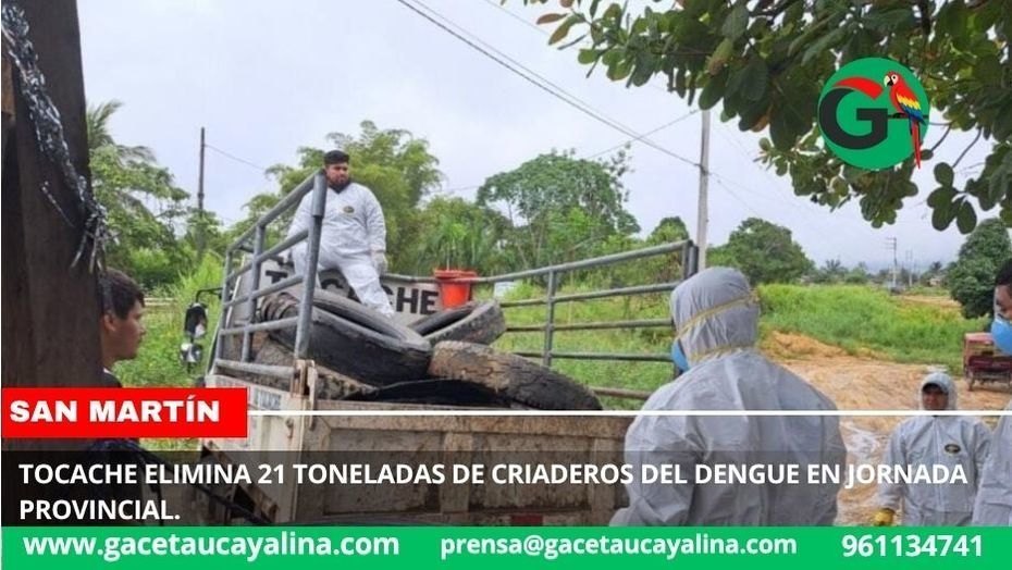 Tocache elimina 21 toneladas de criaderos del dengue en jornada provincial.