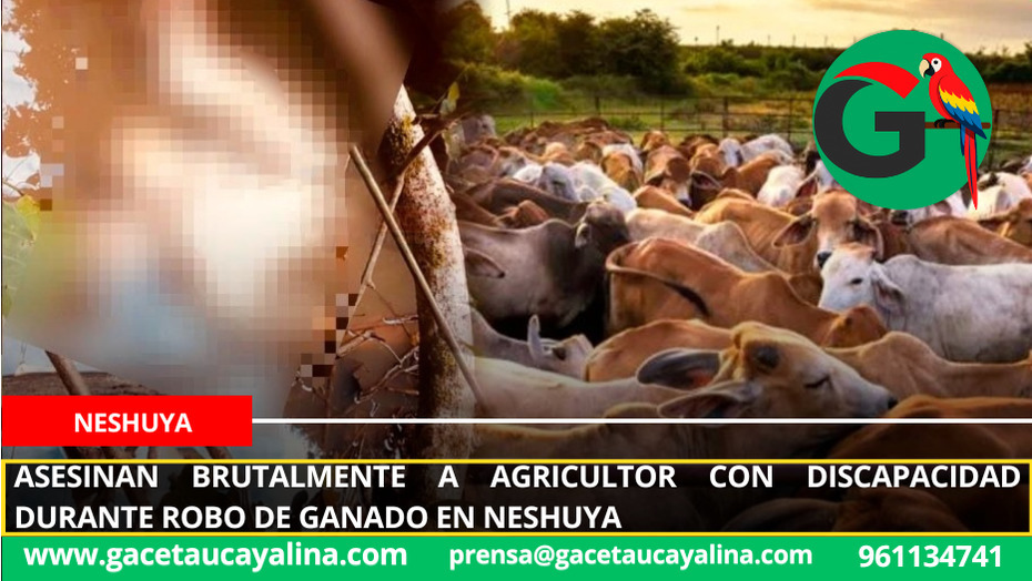 Asesinan brutalmente a agricultor con discapacidad durante robo de ganado en Neshuya.