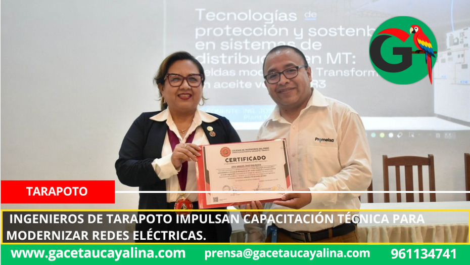 Ingenieros de Tarapoto impulsan capacitación técnica para modernizar redes eléctricas.