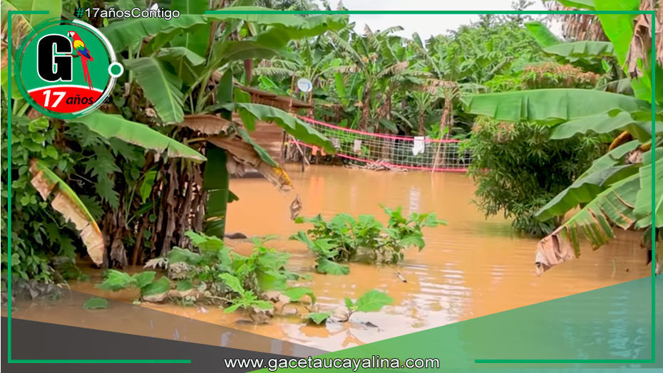 Sede Agraria Sepahua invita a reportar daños por inundaciones