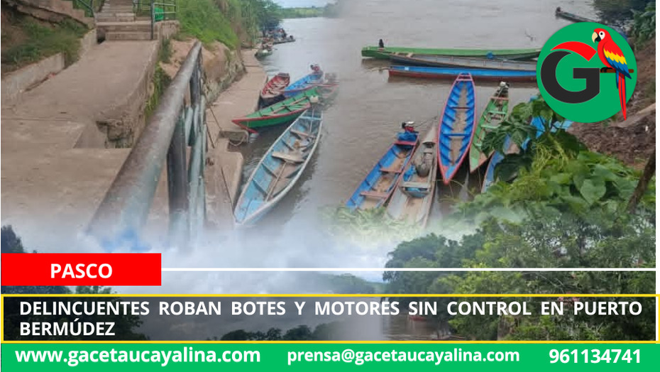 Delincuentes roban botes y motores sin control en Puerto Bermúdez