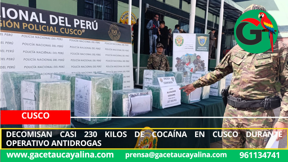 Decomisan casi 230 kilos de cocaína en Cusco durante operativo antidrogas