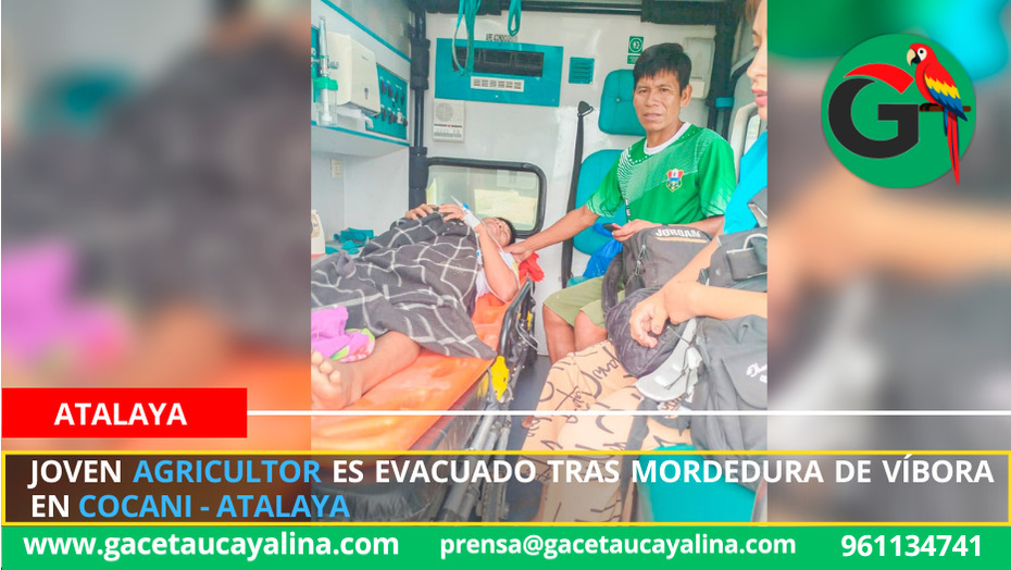 Joven agricultor es evacuado tras mordedura de víbora en Cocani - Atalaya