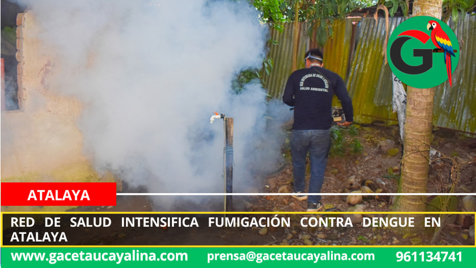 Red de Salud intensifica fumigación contra dengue en Atalaya