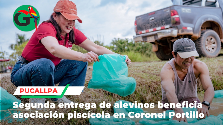 Municipalidad entrega alevinos a productores ganadores de Procompite en Pucallpa