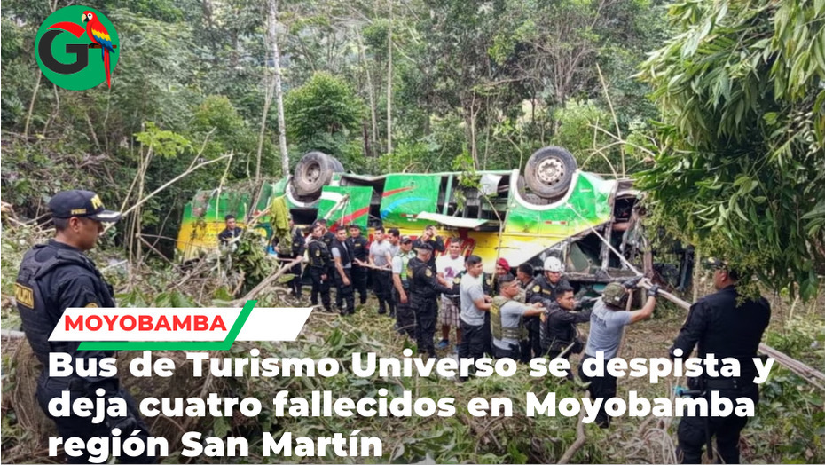 Cuatro muertos deja despiste de bus en carretera Moyobamba–Tarapoto
