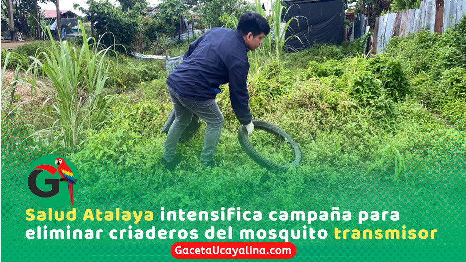 Ejecutan campaña para eliminar criaderos y frenar dengue en Atalaya