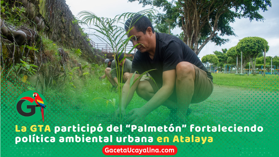 Atalaya impulsa arborización con segunda jornada del “Palmetón”