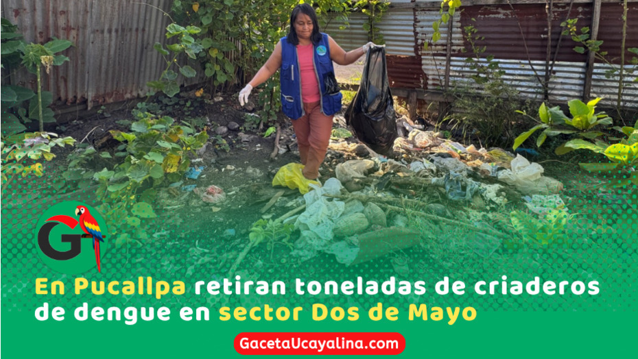 Retiran 9 toneladas de criaderos en Sector 2 de Mayo Pucallpa durante operativo